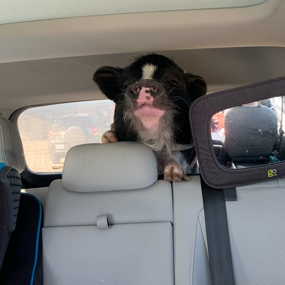 Meet your Posher, Tina - Picture 10 of 10